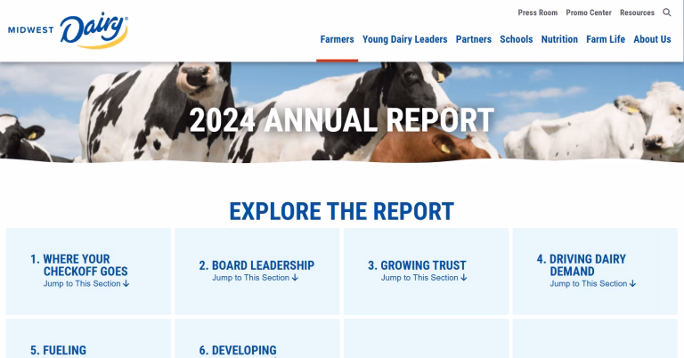 Screenshot of 2024 Annual Report