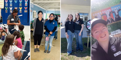 2024 ambassador photo collage