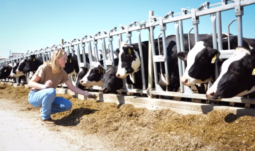 Dairy Farmer Allie Wise Foresight Farms Iowa