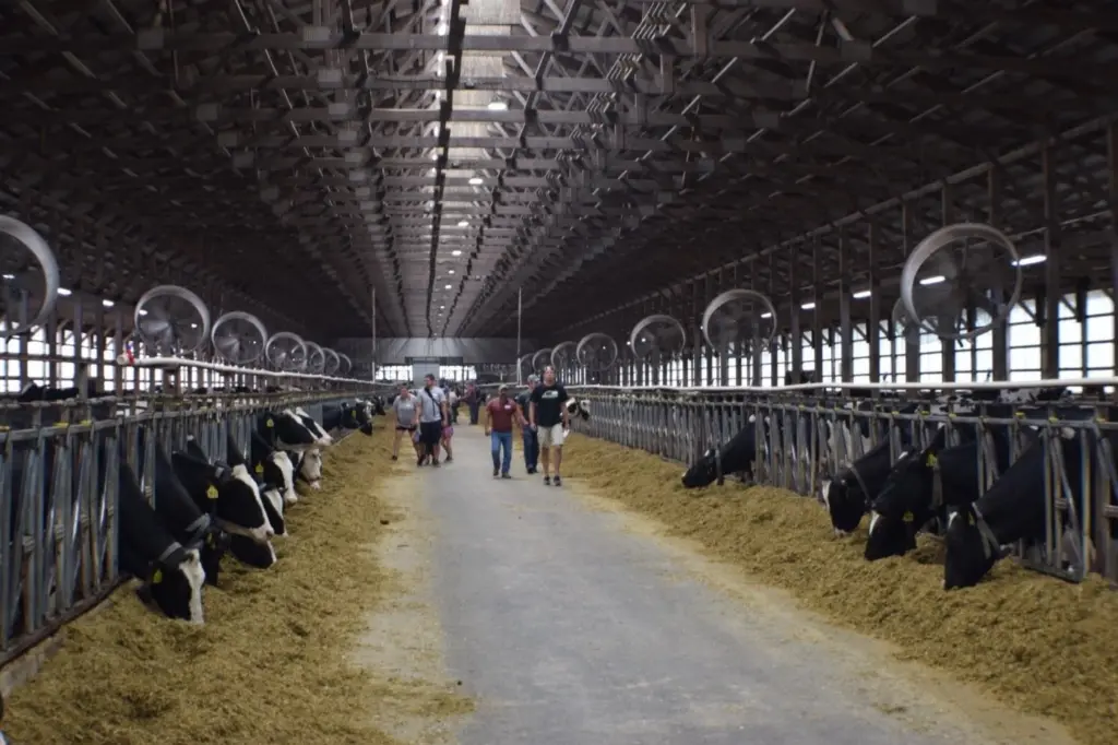 Boadwine Dairy Farm South Dakota Tour