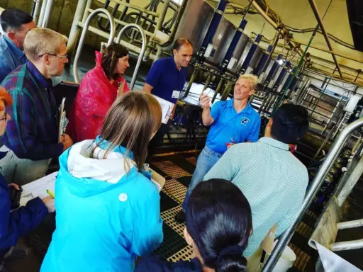 Adults stand in a milking parlour.