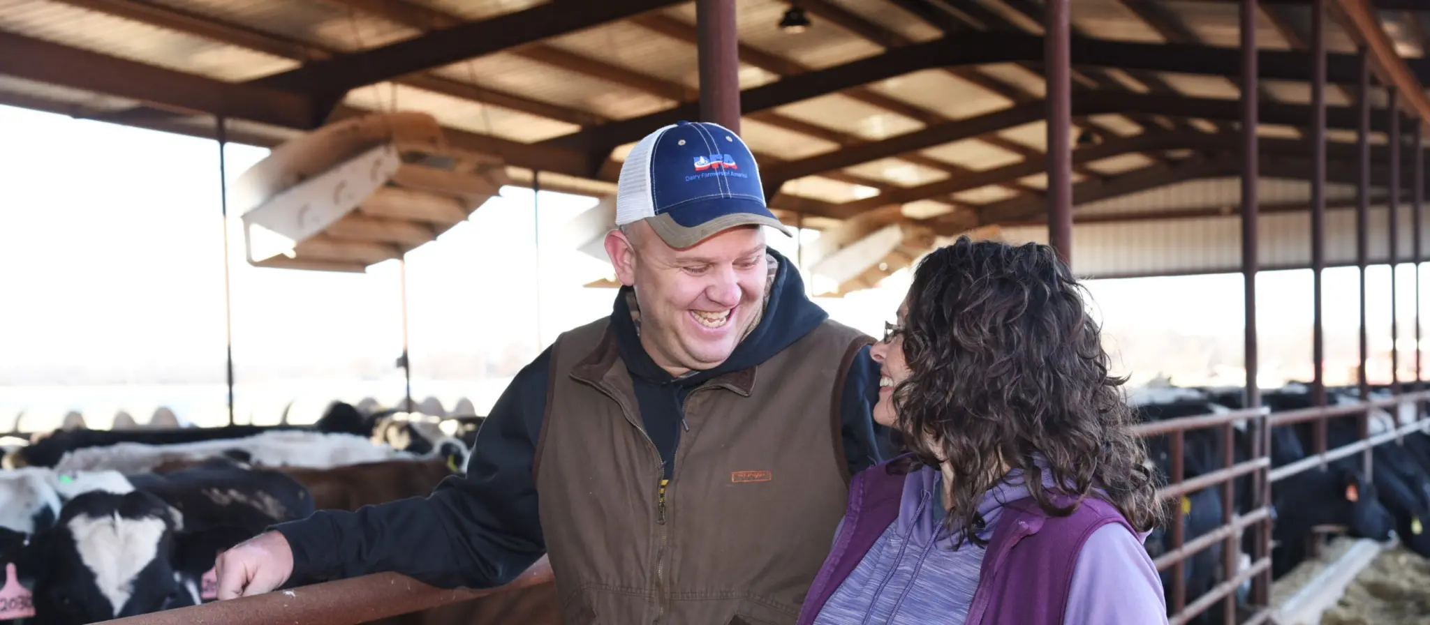 A man and a woman stand next to cows in a pen, smiling and laughing.