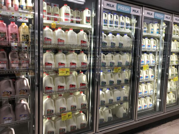 Grocery store dairy case containing gallons of milk in plastic jugs.
