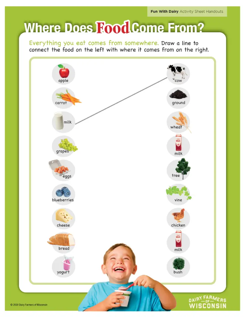 Dairy and healthy eating match game activity sheet