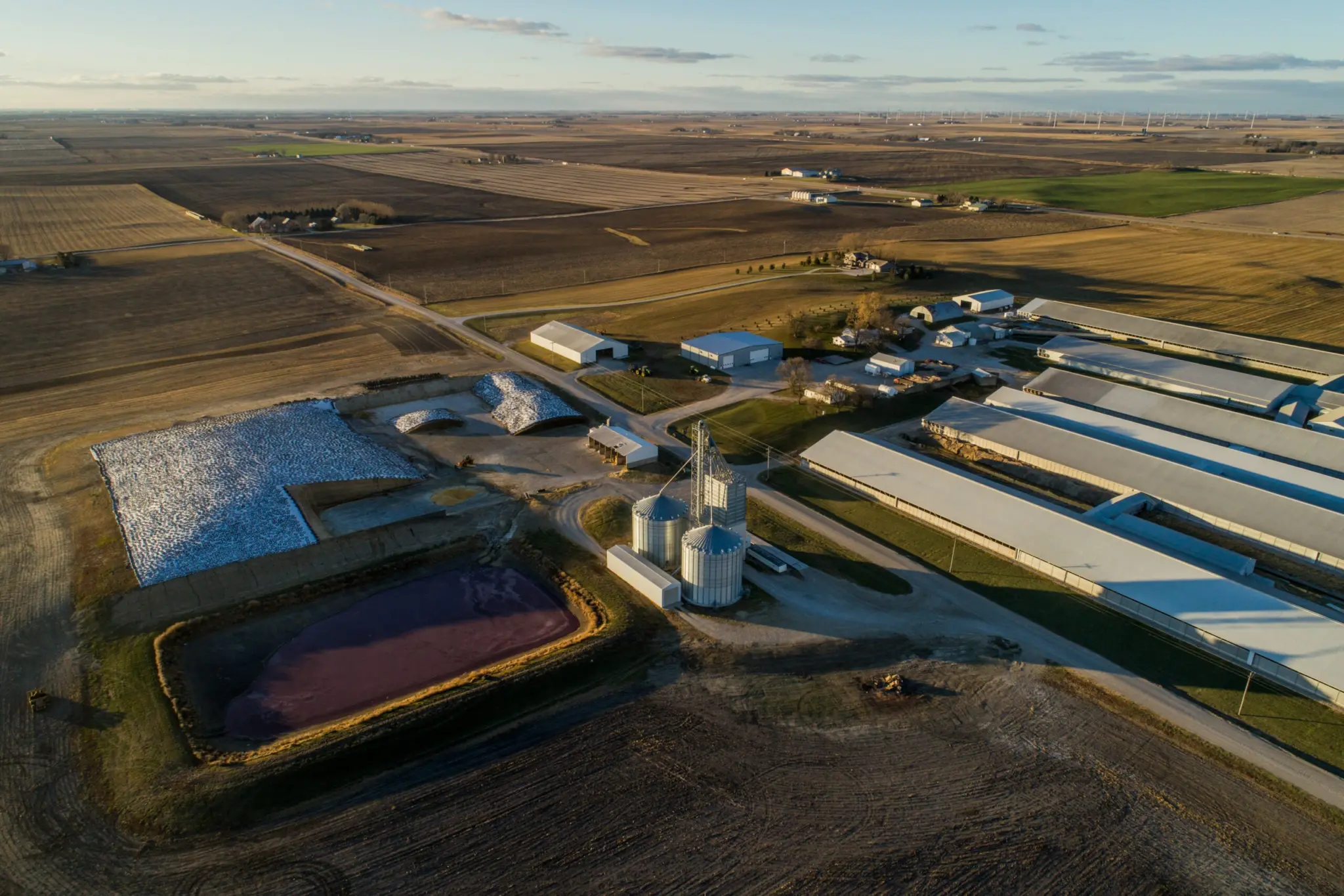 Aerial photo of a dairy farm.