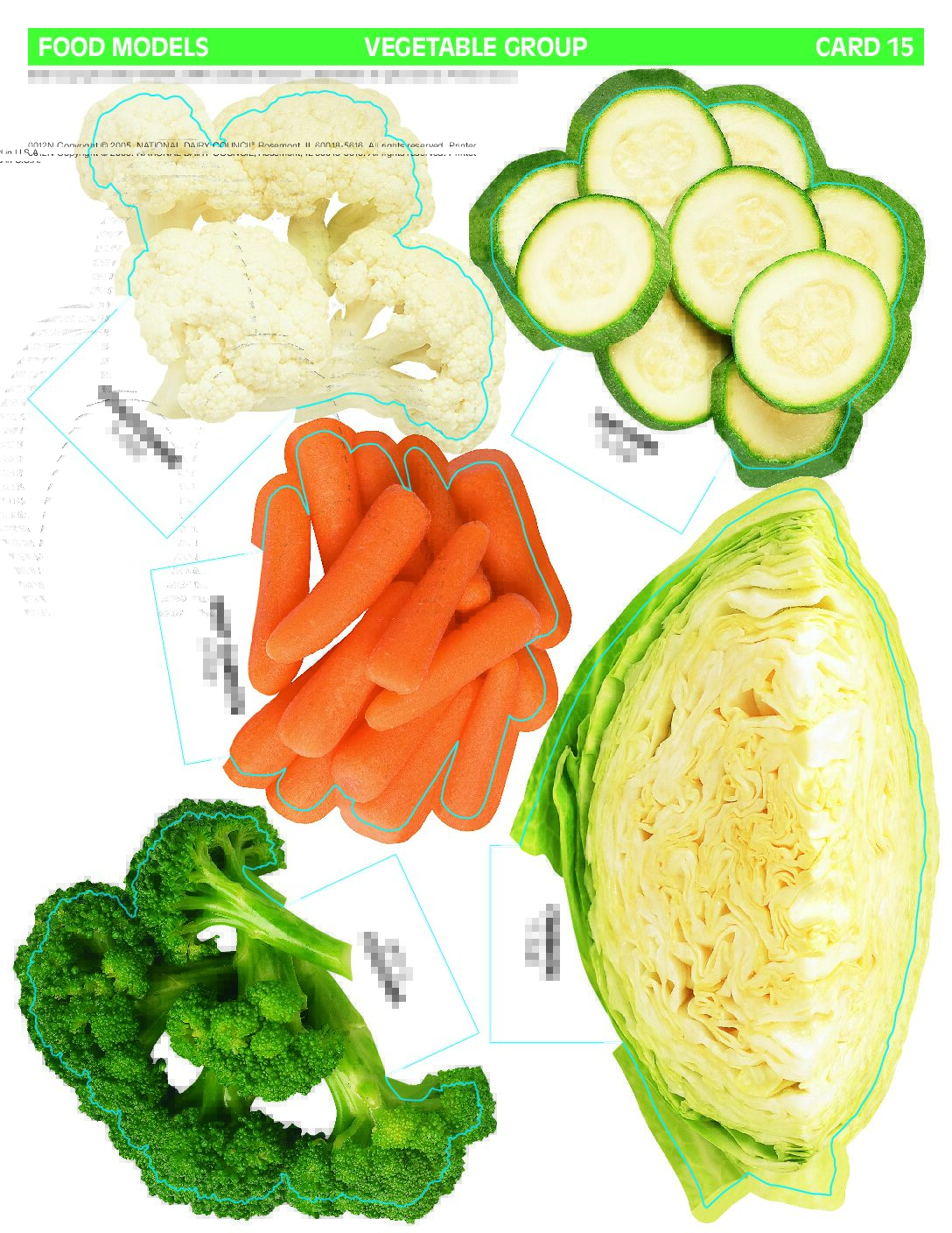 Food Models Vegetable Group Midwest Dairy