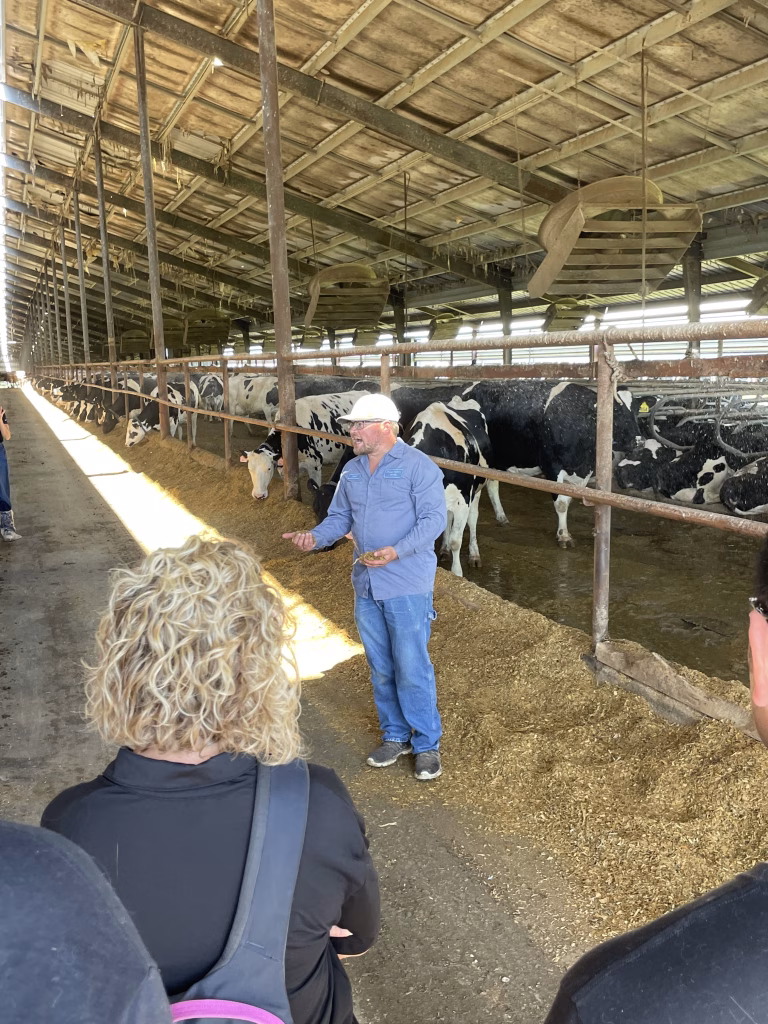 Dairy farmer standing in front of cows presenting to thought leaders