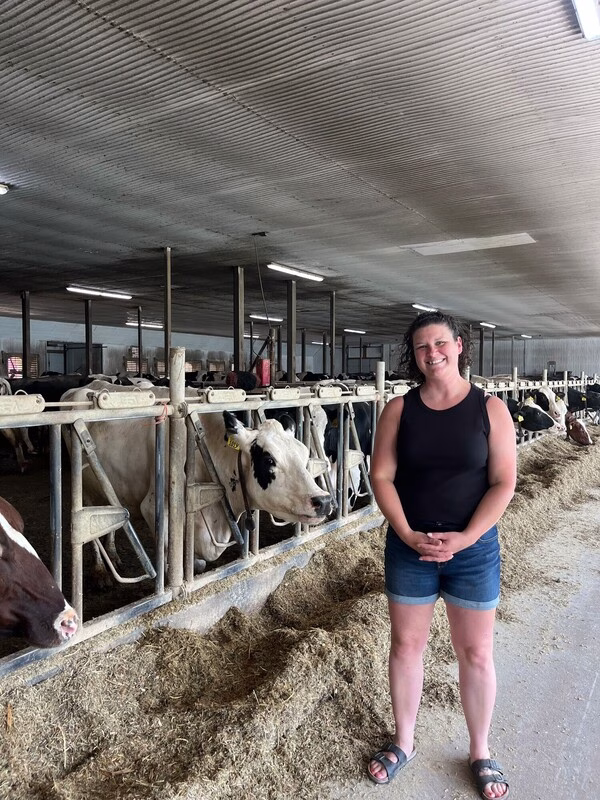 Amanda Zigan standing next to cows in barn