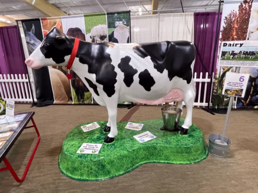 Dairy cow display at Kansas State Fair
