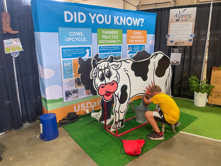 Cow display at 2025 Missouri State Fair