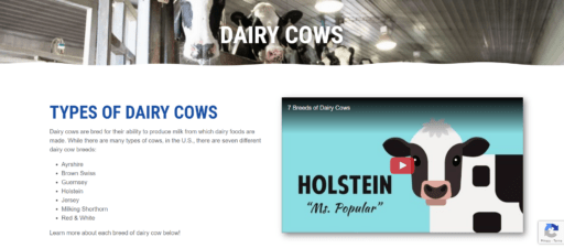 screenshot of Types of Dairy Cows page