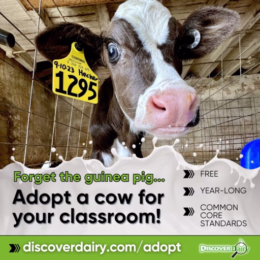 Promotion of the Adopt a Cow program