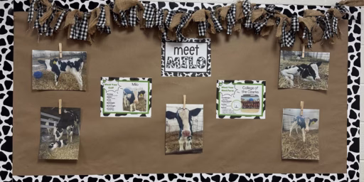 adopt a cow display board 2025