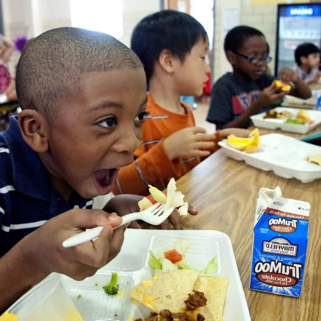 boy eating lunch