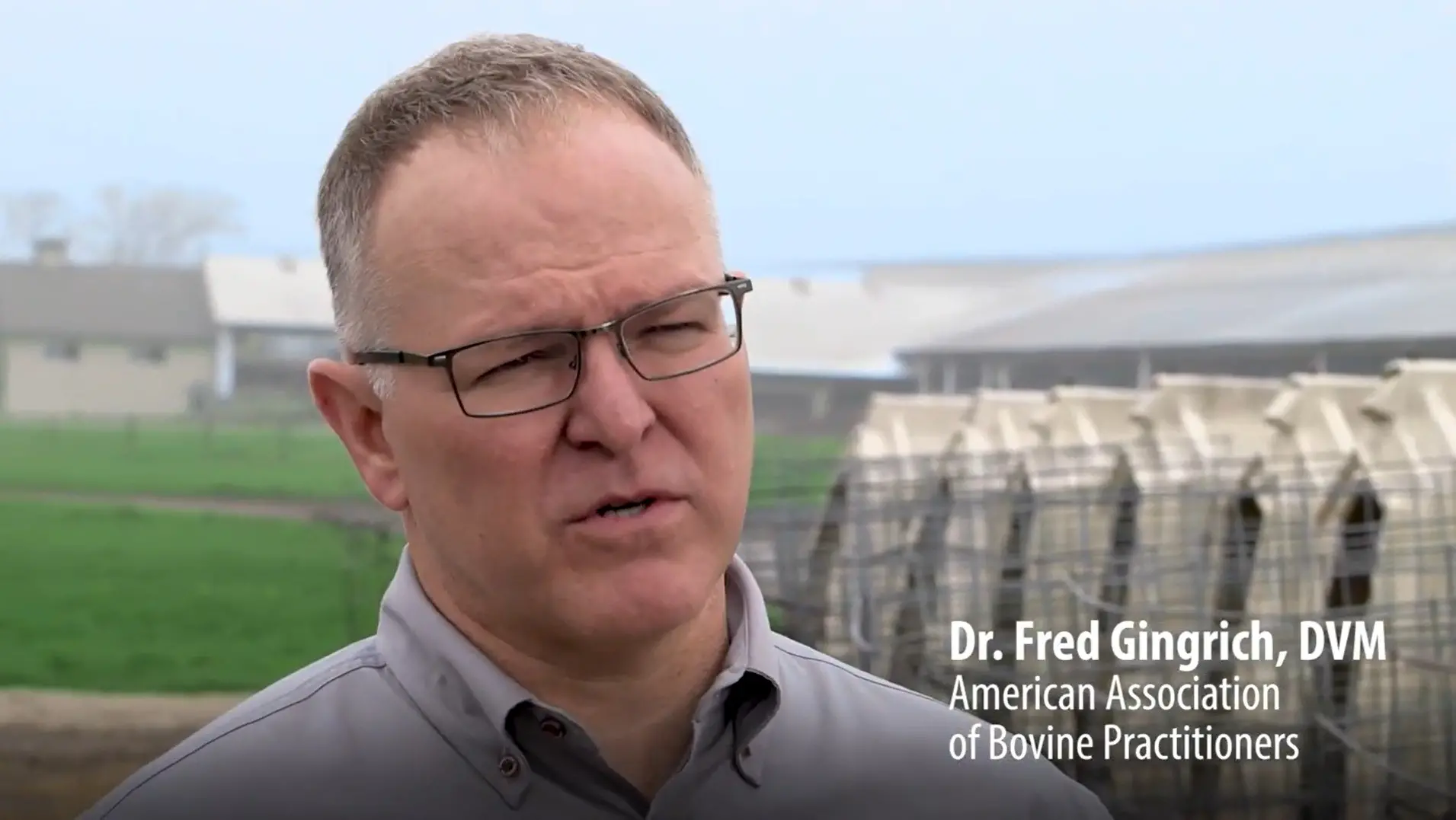Calf Care with Dr. Fred Gingrich - Midwest Dairy