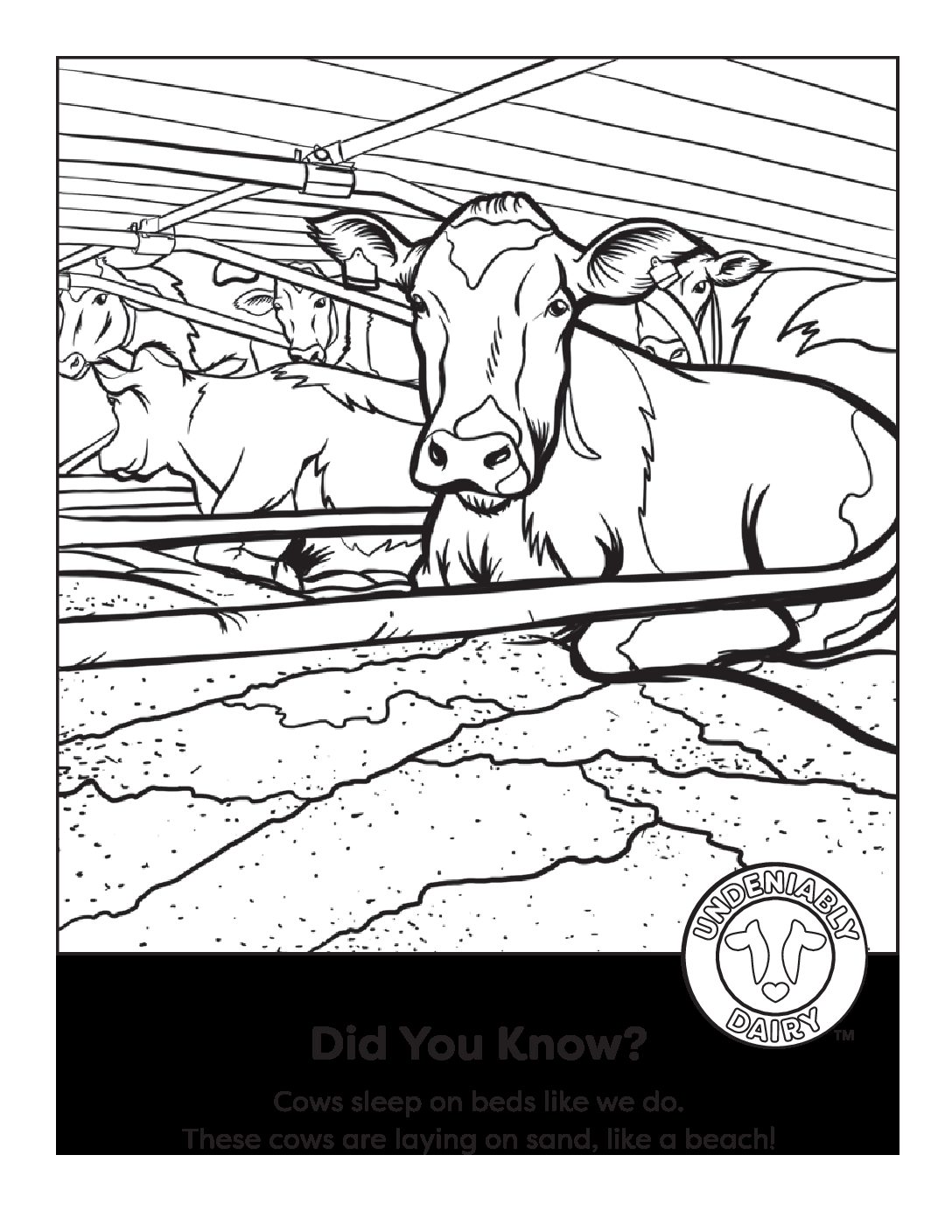 Cow Coloring Page | Midwest Dairy