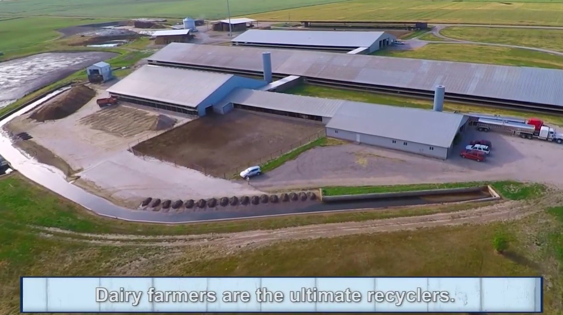 Dairy Farm Tour Recycling Midwest Dairy