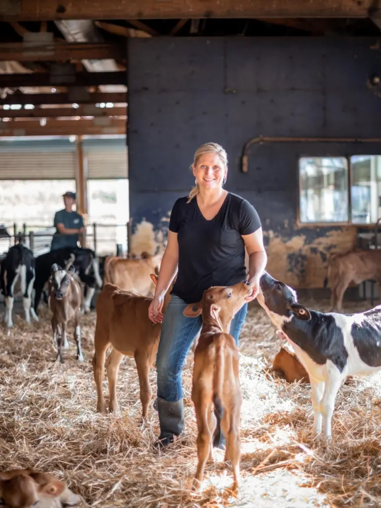 Dairy farmer with calves