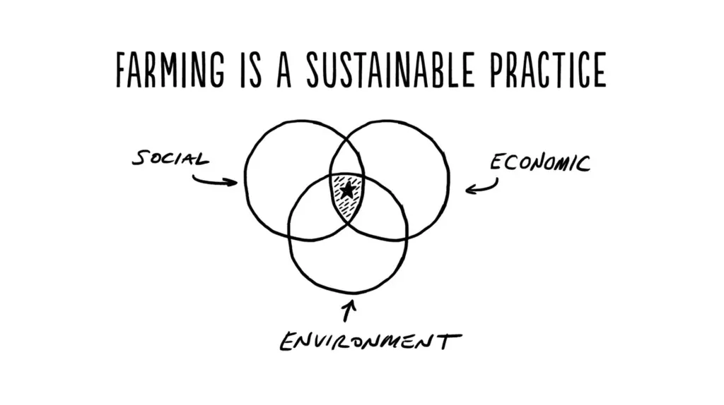 Dairy sustainability cycle