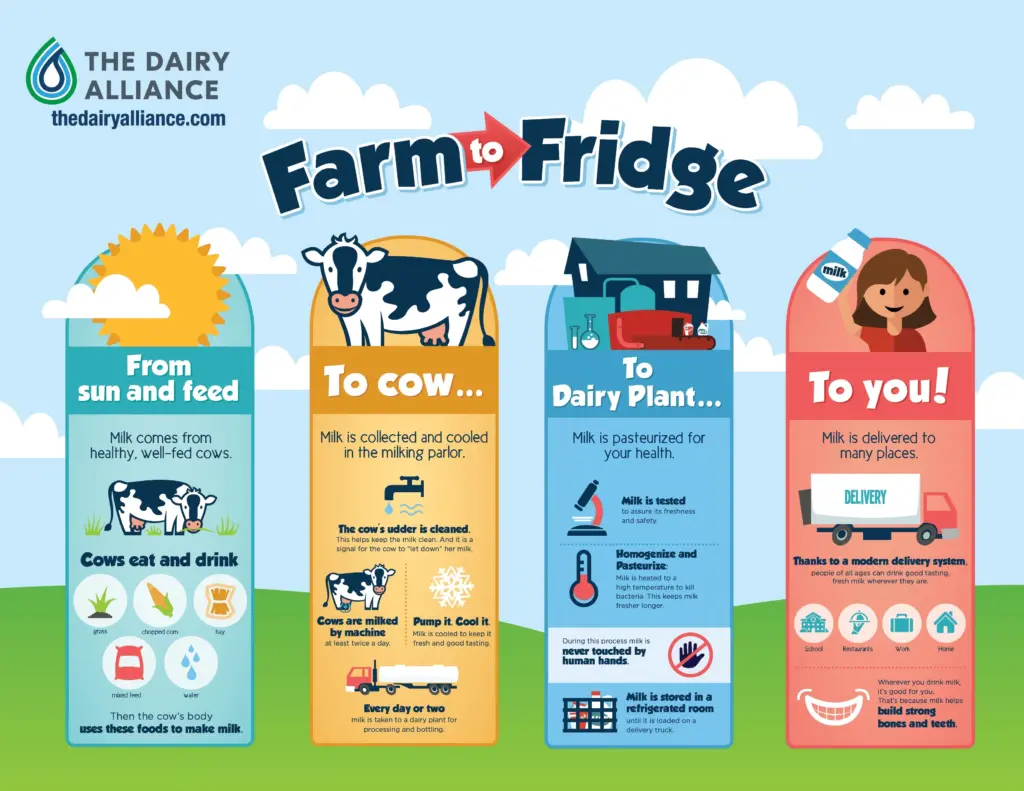 Farm to Fridge Poster English
