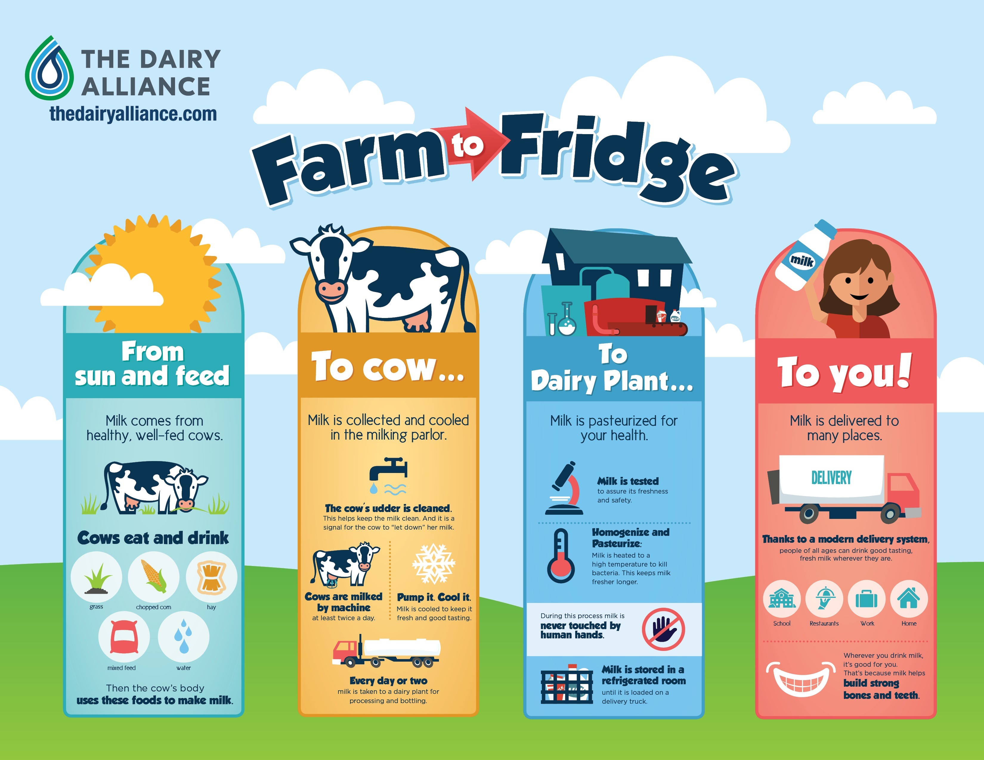 Farm to Fridge Poster; English Midwest Dairy