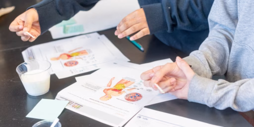 Students working on dairy STEM resources