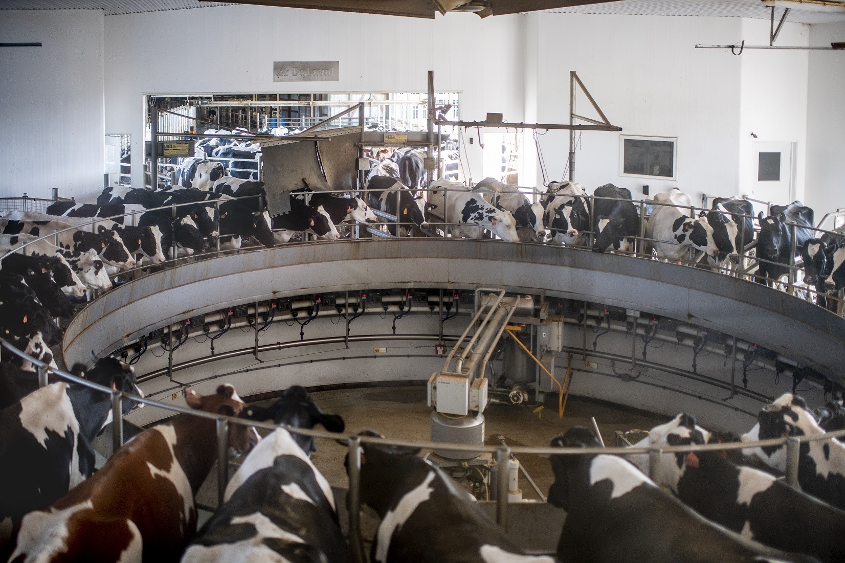 Technology aids sustainability at Hildebrandt Farms