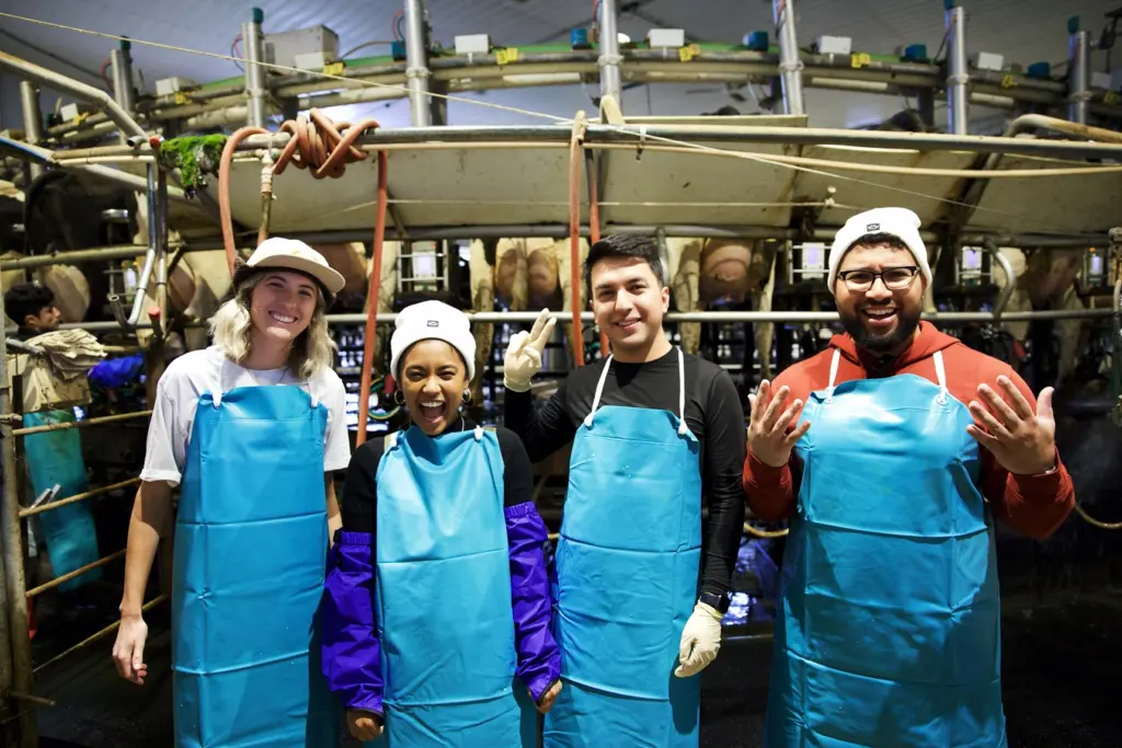 Four influencers in milking parlor.