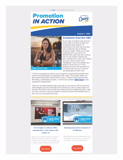 Preview of the July 2025 Promotion in Action email
