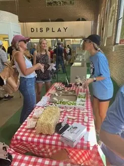 Rush interns volunteering at fair