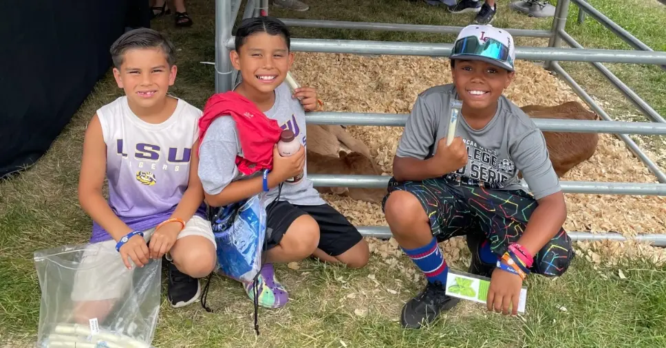 Baseball fans kneeling next to calf in pen.