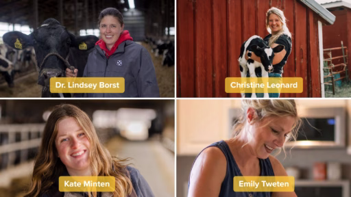 Profile pictures of four female dairy farmers