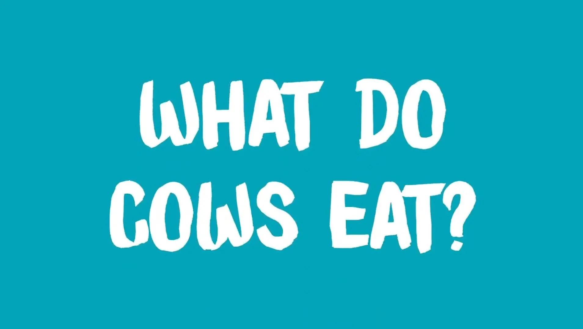 What Do Cows Eat Midwest Dairy