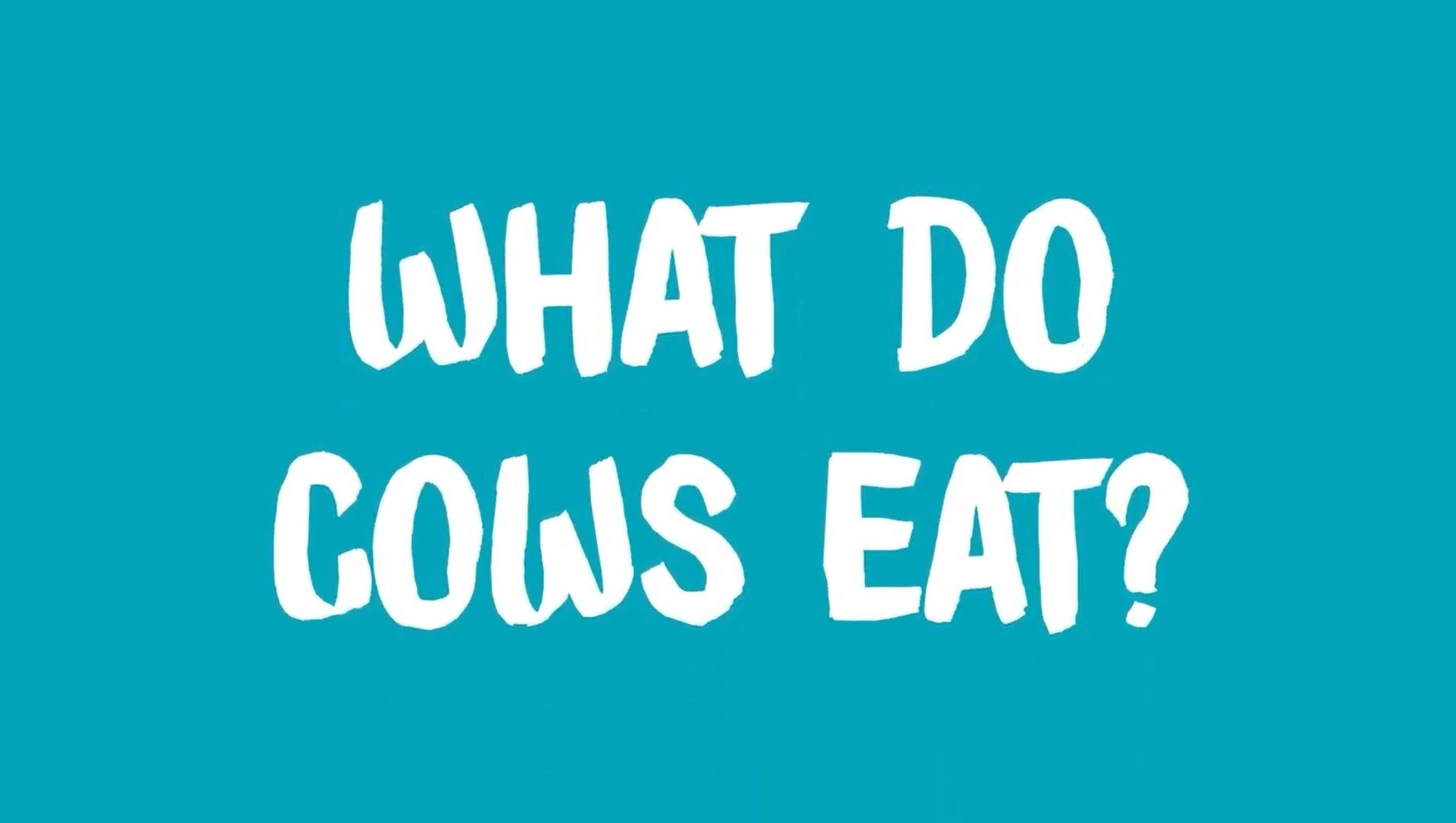 What Do Cows Eat Midwest Dairy